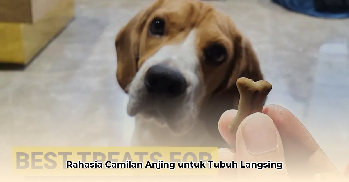 best dog treats for weight loss